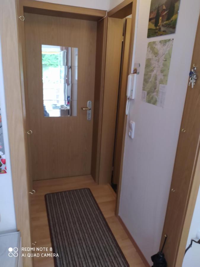 Tiny Flat Baiersbronn Apartment Екстериор снимка